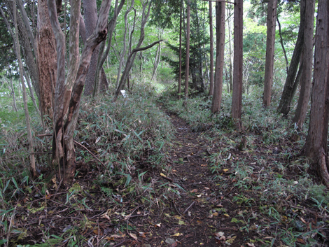20181009hike (169)